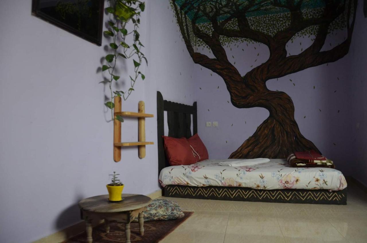 Tayought Surf Hostel Taghazout Zimmer foto